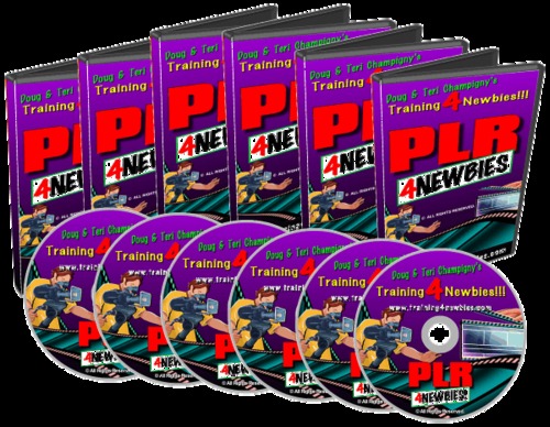 Product picture PLR For Beginners Video Series-make money from home-